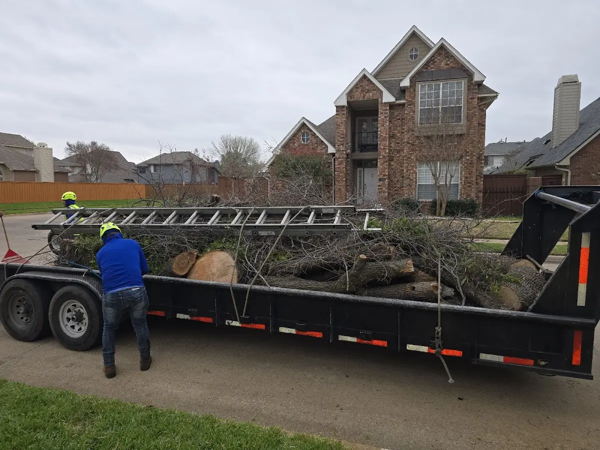 Expert Tree Fertilization with proper safety equipment in Buck Hill Falls